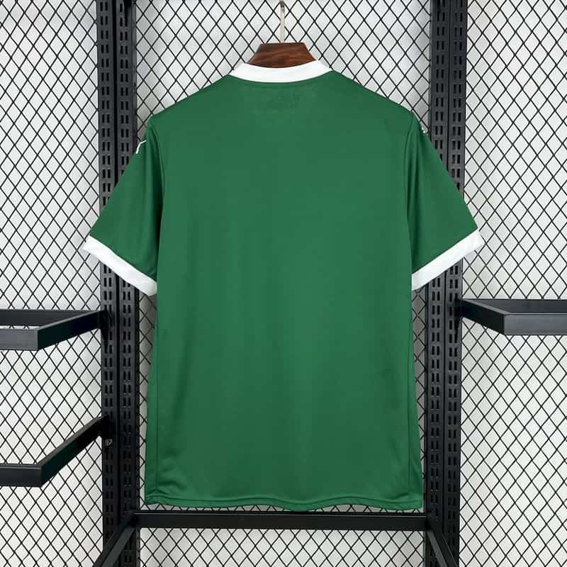 Palmeiras 2025∕26 Home Jersey(F1E3)