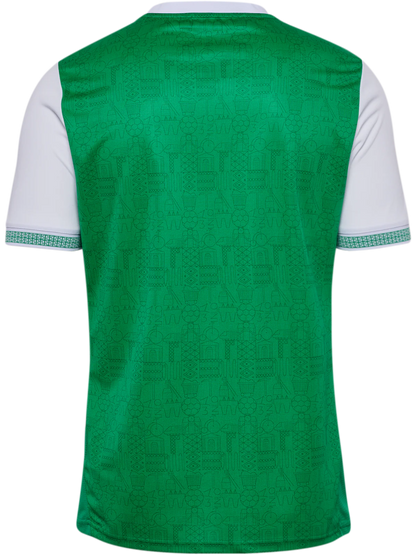Jersey Saint-Étienne Home 25/26