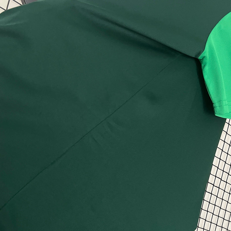 Jersey 24∕25 Polo Palmeiras green