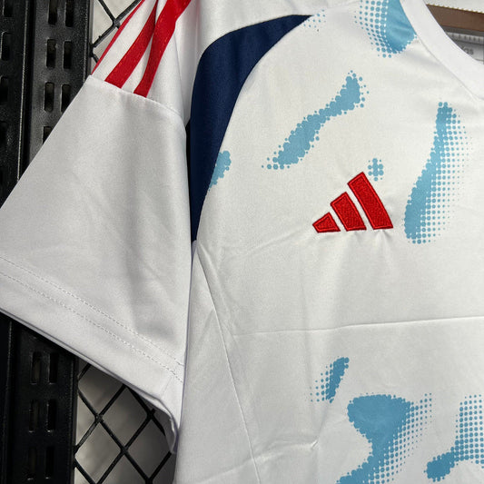 Jersey Costa Rica 24/25 - Away