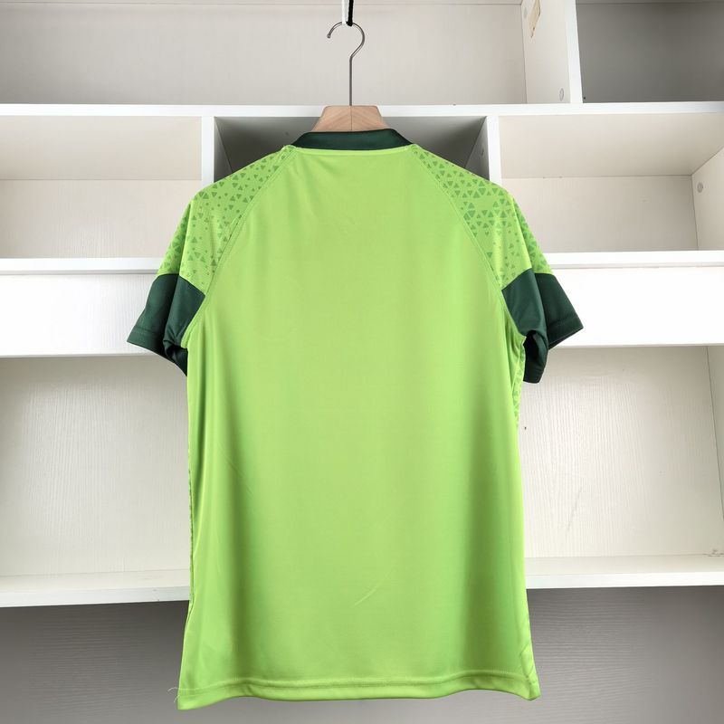 Jersey Palmeiras 24-25 TrainingKit