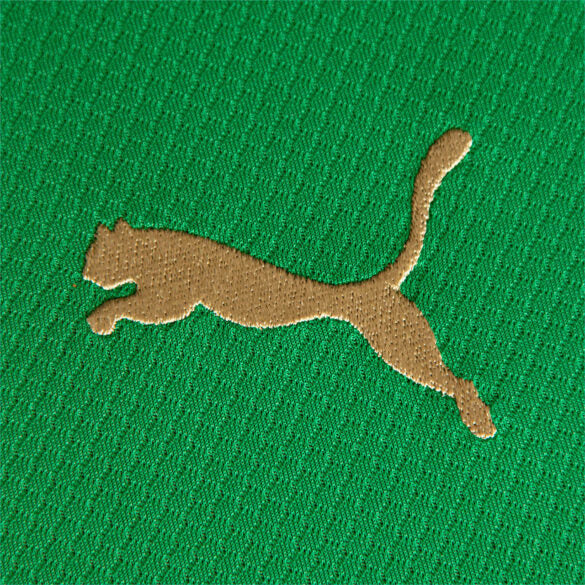 Jersey Palmeiras Edição Comemorativa 70 Anos Puma - Verde