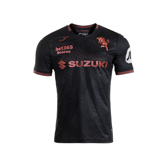 Jersey Torino Third 25/26